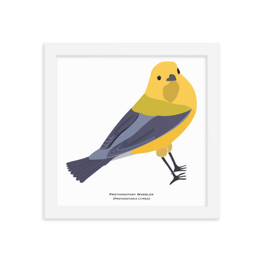 Prothonotary Warbler Framed Print